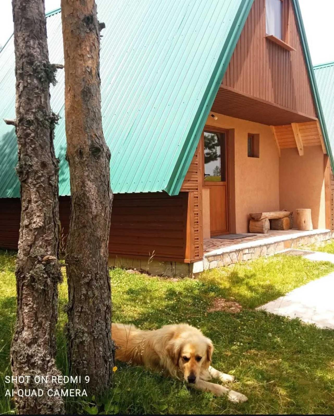Vila Vikendice Smolovic Žabljak Exteriér fotografie