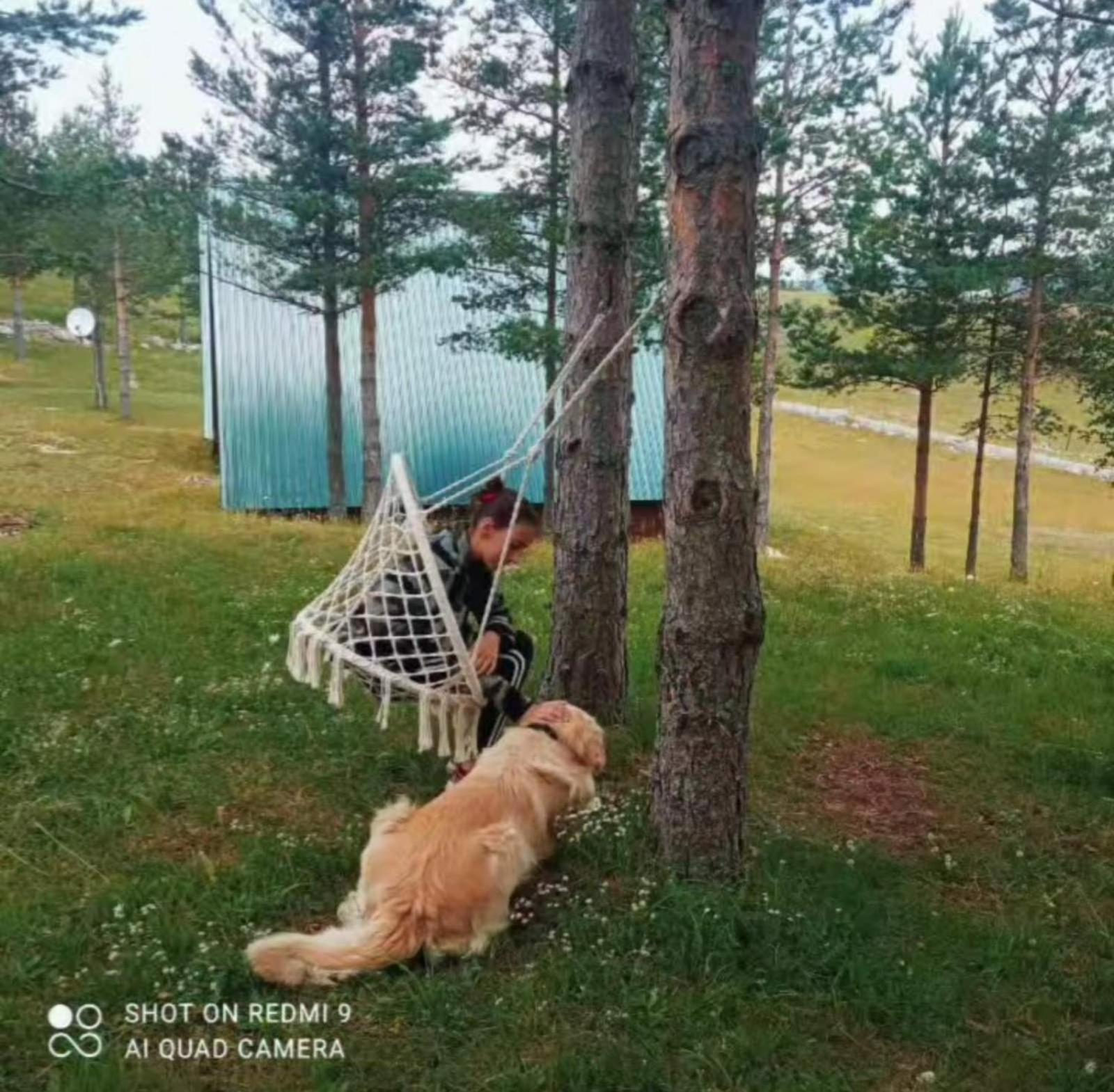 Vila Vikendice Smolovic Žabljak Exteriér fotografie